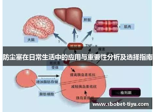 防尘塞在日常生活中的应用与重要性分析及选择指南