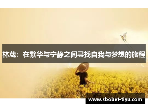 林葳：在繁华与宁静之间寻找自我与梦想的旅程